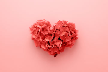 Shop Our Valentine's Day Gift Guide