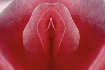 Shop Sex Lubes & Sex Accessories - Pleasure & Intimacy